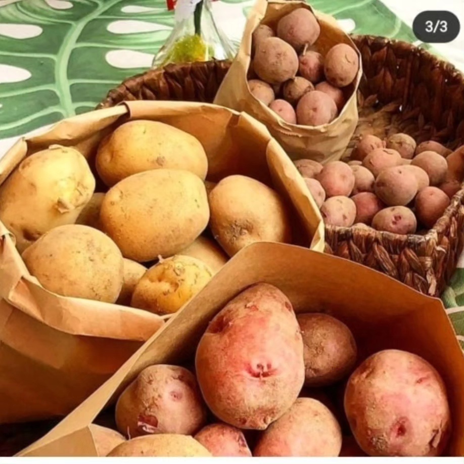 바다향기 대표 상품